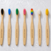 2025/09/1000218693.png Customised Bamboo Toothbrushes (100)