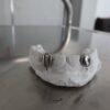 Grillz Training Course